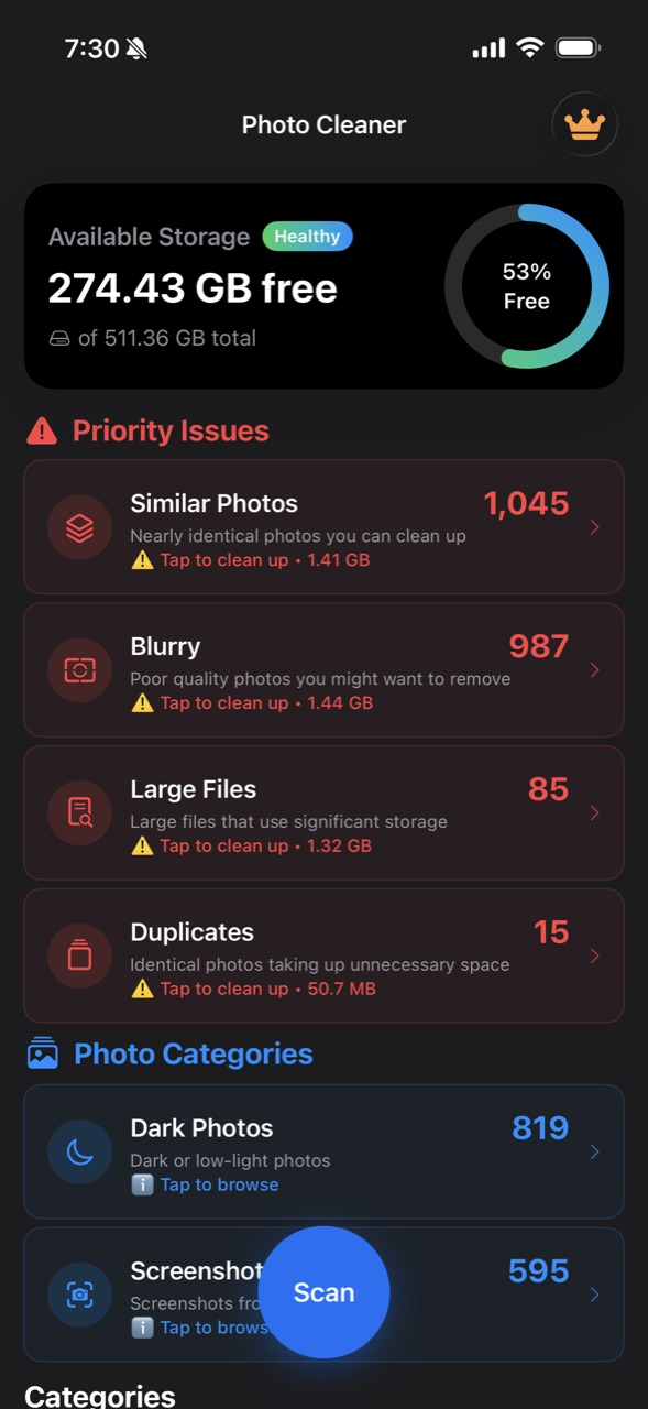 Cleaner dashboard showing photo cleanup categories
